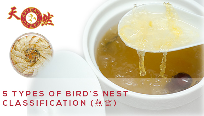 birds nest classification