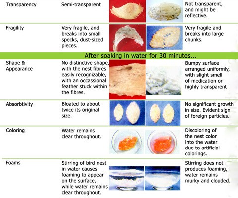 7 Ways To Differentiate Between Pure Bird Nest And Fake Bird Nest