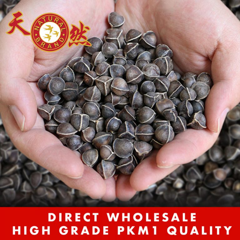 Moringa Seeds available for sale in Singapore, highly beneficial to health.