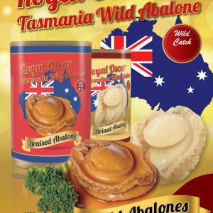 Tasmania Australia JUMBO Wild Catch Abalone