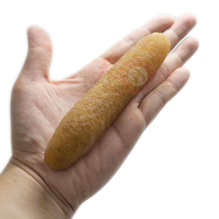 Gold Sea Cucumber for wholesale in Singapore. Direct supplier of Sea